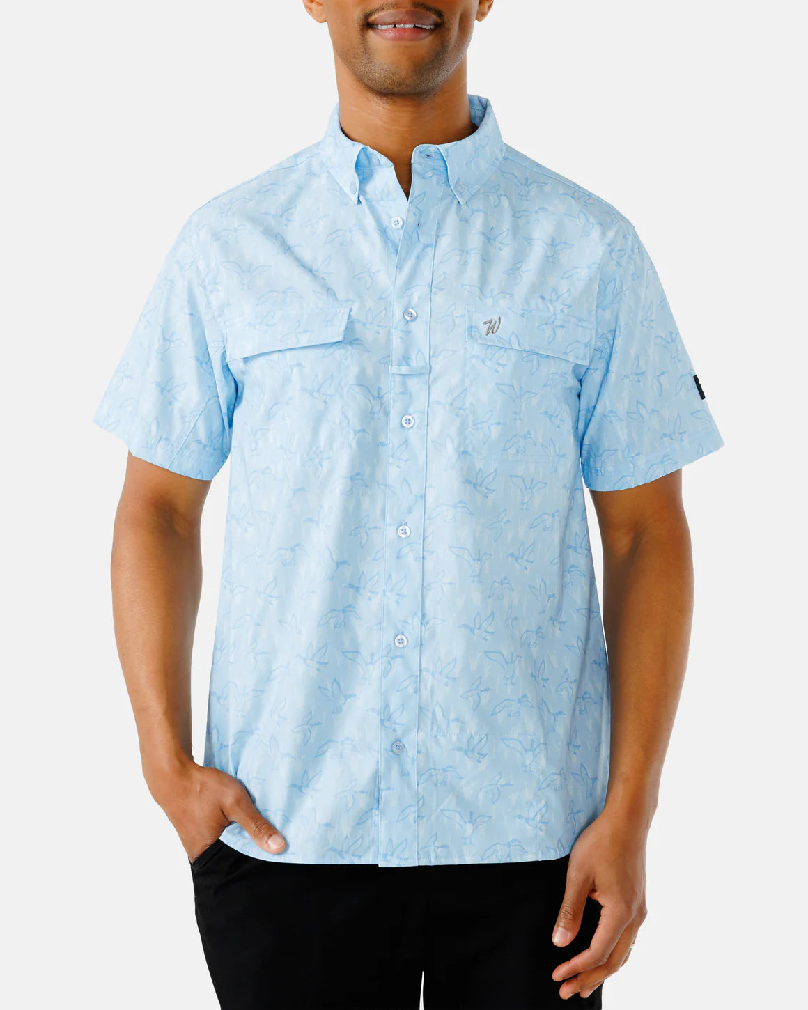 WAGGLE BUTTON-DOWN
